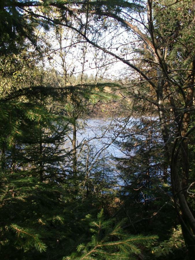 Arnika Inklusive Waeschepaket Braunlage