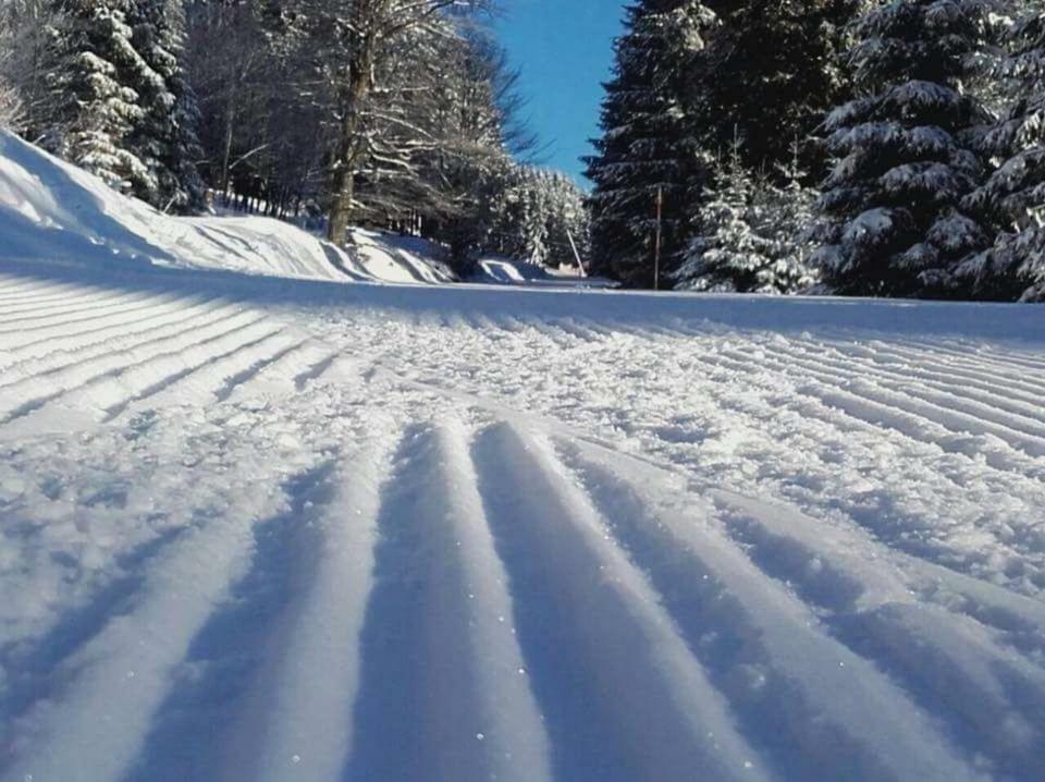 Arnika Inklusive Waeschepaket Appartement Braunlage