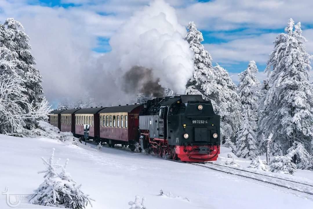 Arnika Inklusive Waeschepaket * Braunlage